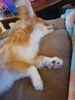 Filename=20240514_007.jpg
Filesize=308KiB
Dimensions=1536x2048
Date added=Mar 23, 2025 20240514_007.jpg