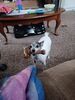 Filename=20240515_001.jpg
Filesize=349KiB
Dimensions=1536x2048
Date added=Mar 23, 2025 20240515_001.jpg