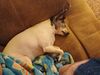 Filename=20240515_002.jpg
Filesize=414KiB
Dimensions=2048x1536
Date added=Mar 23, 2025 20240515_002.jpg