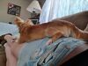 Filename=20240517_001.jpg
Filesize=507KiB
Dimensions=2048x1536
Date added=Mar 23, 2025 20240517_001.jpg