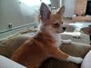 Filename=20240517_003.jpg
Filesize=275KiB
Dimensions=2048x1536
Date added=Mar 23, 2025 20240517_003.jpg