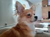 Filename=20240517_004.jpg
Filesize=383KiB
Dimensions=2048x1536
Date added=Mar 23, 2025 20240517_004.jpg