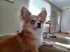 Filename=20240517_005.jpg
Filesize=320KiB
Dimensions=2048x1536
Date added=Mar 23, 2025 20240517_005.jpg