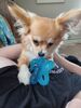 Filename=20240519_001.jpg
Filesize=285KiB
Dimensions=1536x2048
Date added=Mar 23, 2025 20240519_001.jpg