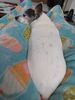 Filename=20240519_002.jpg
Filesize=424KiB
Dimensions=1536x2048
Date added=Mar 23, 2025 20240519_002.jpg