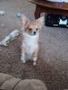 Filename=20240520_001.jpg
Filesize=656KiB
Dimensions=1536x2048
Date added=Mar 23, 2025 20240520_001.jpg