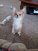Filename=20240520_002.jpg
Filesize=645KiB
Dimensions=1536x2048
Date added=Mar 23, 2025 20240520_002.jpg