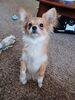 Filename=20240520_003.jpg
Filesize=450KiB
Dimensions=1536x2048
Date added=Mar 23, 2025 20240520_003.jpg