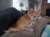 Filename=20240520_004.jpg
Filesize=501KiB
Dimensions=2048x1536
Date added=Mar 23, 2025 20240520_004.jpg