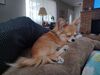 Filename=20240520_005.jpg
Filesize=412KiB
Dimensions=2048x1536
Date added=Mar 23, 2025 20240520_005.jpg