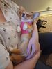 Filename=20240520_006.jpg
Filesize=372KiB
Dimensions=1536x2048
Date added=Mar 23, 2025 20240520_006.jpg