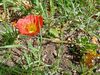 Filename=20240522_008.jpg
Filesize=722KiB
Dimensions=2048x1536
Date added=Mar 23, 2025 20240522_008.jpg
