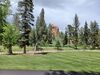 Filename=20240524_004.jpg
Filesize=965KiB
Dimensions=2048x1536
Date added=Mar 23, 2025 20240524_004.jpg