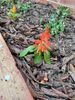 Filename=20240524_037.jpg
Filesize=589KiB
Dimensions=1536x2048
Date added=Mar 23, 2025 20240524_037.jpg