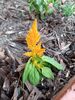 Filename=20240524_038.jpg
Filesize=464KiB
Dimensions=1536x2048
Date added=Mar 23, 2025 20240524_038.jpg