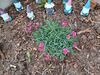 Filename=20240524_042.jpg
Filesize=1075KiB
Dimensions=2048x1536
Date added=Mar 23, 2025 20240524_042.jpg