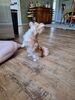 Filename=20240527_001.jpg
Filesize=771KiB
Dimensions=1536x2048
Date added=Mar 23, 2025 20240527_001.jpg