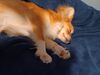 Filename=20240527_006.jpg
Filesize=256KiB
Dimensions=2048x1536
Date added=Mar 23, 2025 20240527_006.jpg