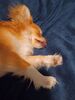 Filename=20240527_007.jpg
Filesize=358KiB
Dimensions=1536x2048
Date added=Mar 23, 2025 20240527_007.jpg