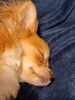Filename=20240527_008.jpg
Filesize=442KiB
Dimensions=1536x2048
Date added=Mar 23, 2025 20240527_008.jpg