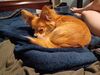 Filename=20240603_001.jpg
Filesize=586KiB
Dimensions=2048x1536
Date added=Mar 23, 2025 20240603_001.jpg