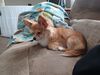 Filename=20240604_002.jpg
Filesize=574KiB
Dimensions=2048x1536
Date added=Mar 23, 2025 20240604_002.jpg