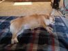 Filename=20240604_006.jpg
Filesize=480KiB
Dimensions=2048x1536
Date added=Mar 23, 2025 20240604_006.jpg