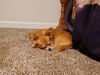 Filename=20240611_003.jpg
Filesize=604KiB
Dimensions=2048x1536
Date added=Mar 23, 2025 20240611_003.jpg