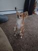 Filename=20240611_004.jpg
Filesize=467KiB
Dimensions=1536x2048
Date added=Mar 23, 2025 20240611_004.jpg