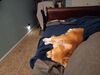 Filename=20240611_006.jpg
Filesize=250KiB
Dimensions=2048x1536
Date added=Mar 23, 2025 20240611_006.jpg