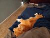Filename=20240611_007.jpg
Filesize=225KiB
Dimensions=2048x1536
Date added=Mar 23, 2025 20240611_007.jpg