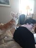 Filename=20240613_002.jpg
Filesize=314KiB
Dimensions=1536x2048
Date added=Mar 23, 2025 20240613_002.jpg