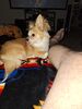 Filename=20240616_001.jpg
Filesize=425KiB
Dimensions=1536x2048
Date added=Mar 23, 2025 20240616_001.jpg