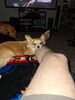 Filename=20240616_002.jpg
Filesize=417KiB
Dimensions=1536x2048
Date added=Mar 23, 2025 20240616_002.jpg