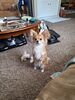 Filename=20240616_003.jpg
Filesize=689KiB
Dimensions=1536x2048
Date added=Mar 23, 2025 20240616_003.jpg