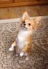 Filename=20240616_008.jpg
Filesize=402KiB
Dimensions=1424x2048
Date added=Mar 23, 2025 20240616_008.jpg