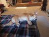 Filename=20240618_001.jpg
Filesize=476KiB
Dimensions=2048x1536
Date added=Mar 23, 2025 20240618_001.jpg