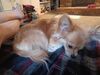 Filename=20240618_002.jpg
Filesize=340KiB
Dimensions=2048x1536
Date added=Mar 23, 2025 20240618_002.jpg