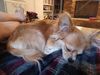 Filename=20240618_003.jpg
Filesize=312KiB
Dimensions=2048x1536
Date added=Mar 23, 2025 20240618_003.jpg