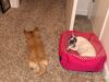 Filename=20240619_002.jpg
Filesize=867KiB
Dimensions=2048x1536
Date added=Mar 23, 2025 20240619_002.jpg
