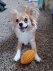Filename=20240801_004.jpg
Filesize=279KiB
Dimensions=1536x2048
Date added=Jun 01, 2025 20240801_004.jpg