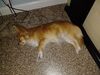Filename=20240801_005.jpg
Filesize=783KiB
Dimensions=2048x1536
Date added=Jun 01, 2025 20240801_005.jpg