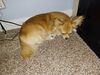 Filename=20240801_006.jpg
Filesize=744KiB
Dimensions=2048x1536
Date added=Jun 01, 2025 20240801_006.jpg