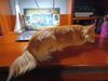 Filename=20240801_007.jpg
Filesize=330KiB
Dimensions=2048x1536
Date added=Jun 01, 2025 20240801_007.jpg