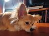 Filename=20240801_008.jpg
Filesize=274KiB
Dimensions=2048x1536
Date added=Jun 01, 2025 20240801_008.jpg