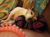 Filename=20240801_010.jpg
Filesize=300KiB
Dimensions=2048x1536
Date added=Jun 01, 2025 20240801_010.jpg