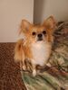 Filename=20240811_001.jpg
Filesize=221KiB
Dimensions=1536x2048
Date added=Jun 01, 2025 20240811_001.jpg