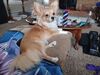 Filename=20240813_001.jpg
Filesize=363KiB
Dimensions=2048x1536
Date added=Jun 01, 2025 20240813_001.jpg
