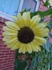 Filename=20240814_005.jpg
Filesize=303KiB
Dimensions=1536x2048
Date added=Jun 01, 2025 20240814_005.jpg