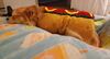 Filename=20240814_014.jpg
Filesize=246KiB
Dimensions=2048x1110
Date added=Jun 01, 2025 20240814_014.jpg